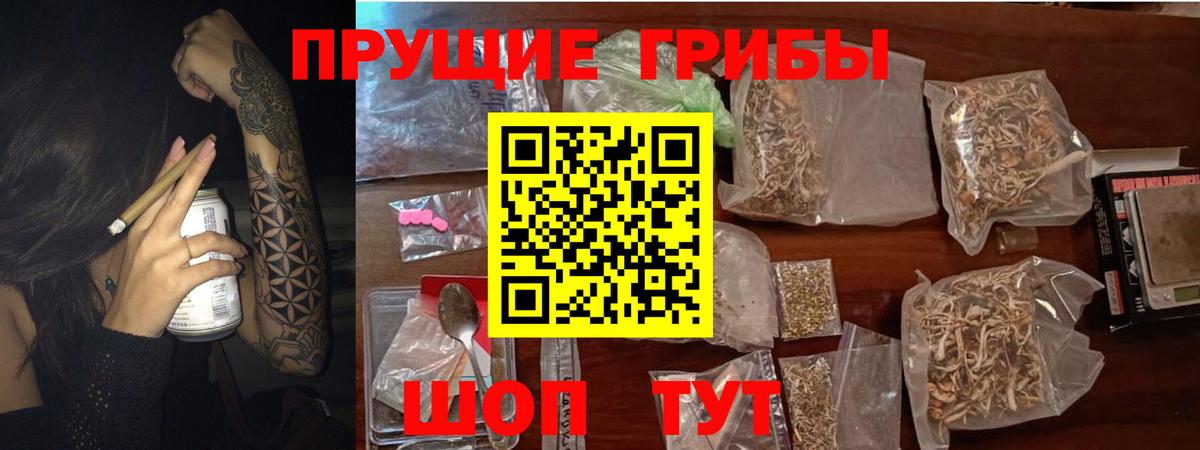 Саратов  Галлюциногенные грибы прущие грибы  Вход с VPN  Галлюциногенные грибы Magic Shrooms 
